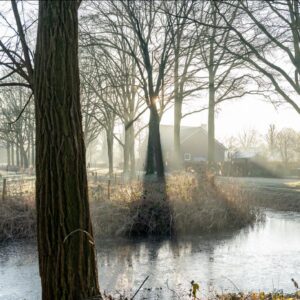 Systemisch struinen door de winter